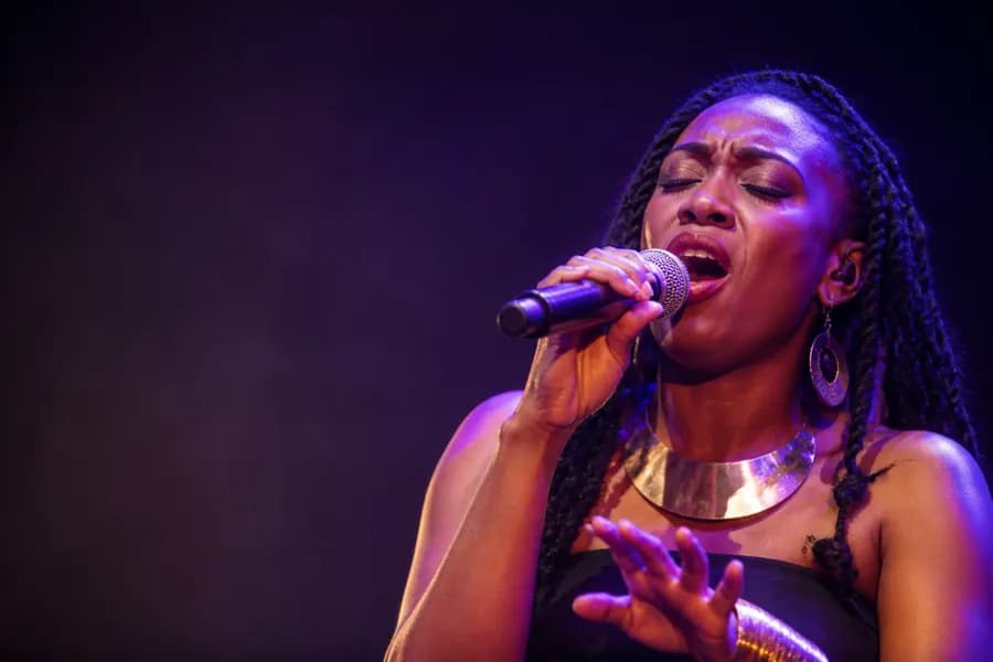 A vocalist singing into a handheld microphone under warm purple stage lighting